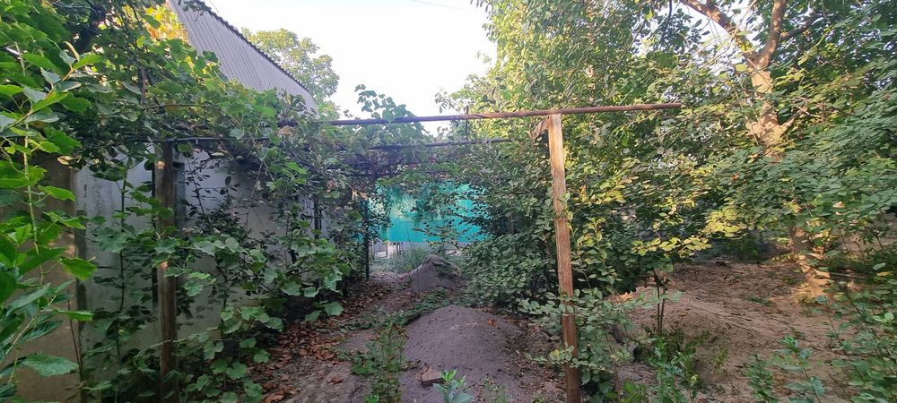 DACHA sotiladi oʻzimniki