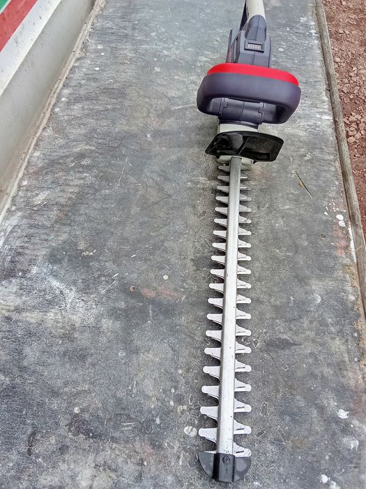 Аренда прокат кусторез