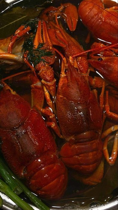 Живые раки с доставкой на дом