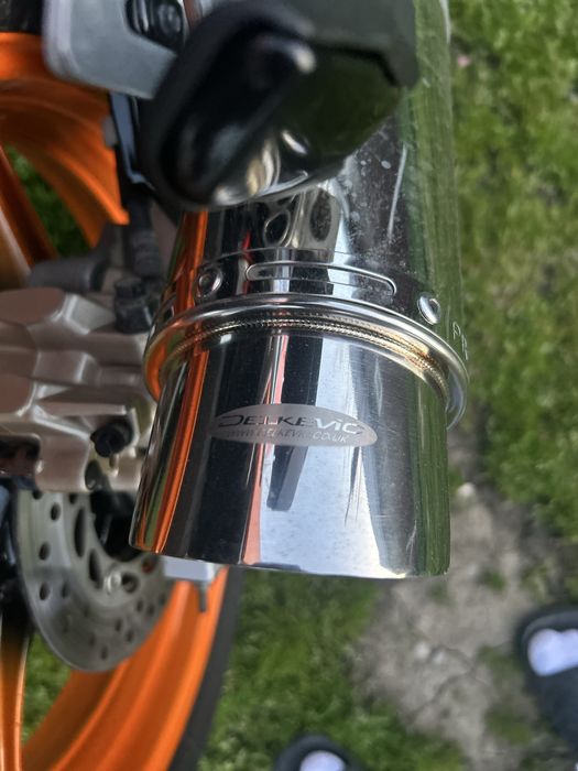 Cap de toba Dejukevic de vanzare