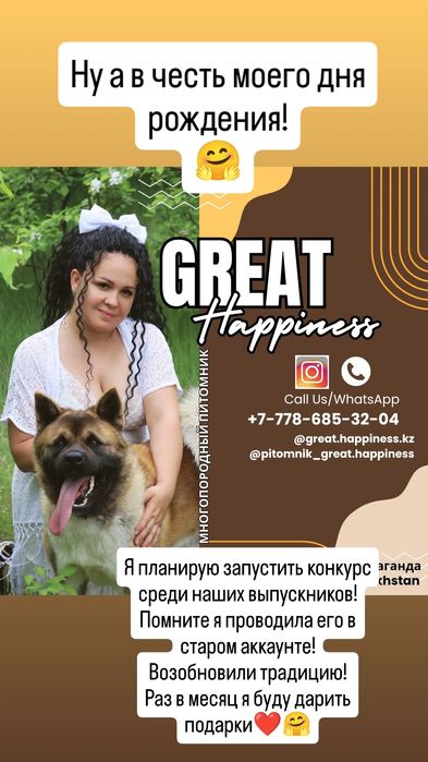 Питомник предлагает щенков Американской Акиты