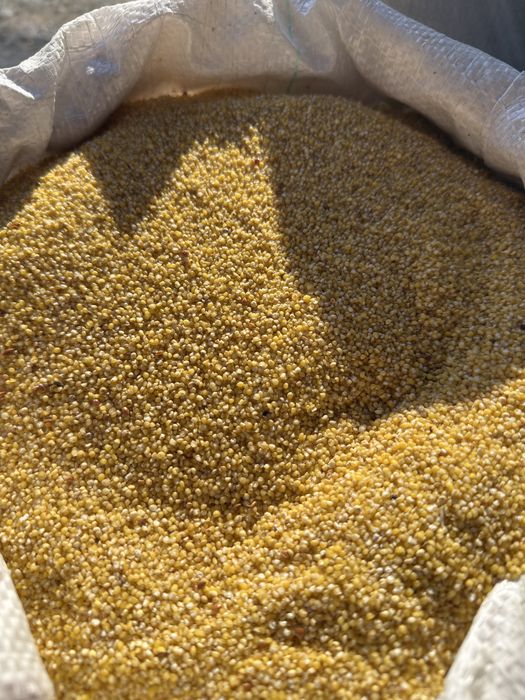 Пщено в мешках чистое