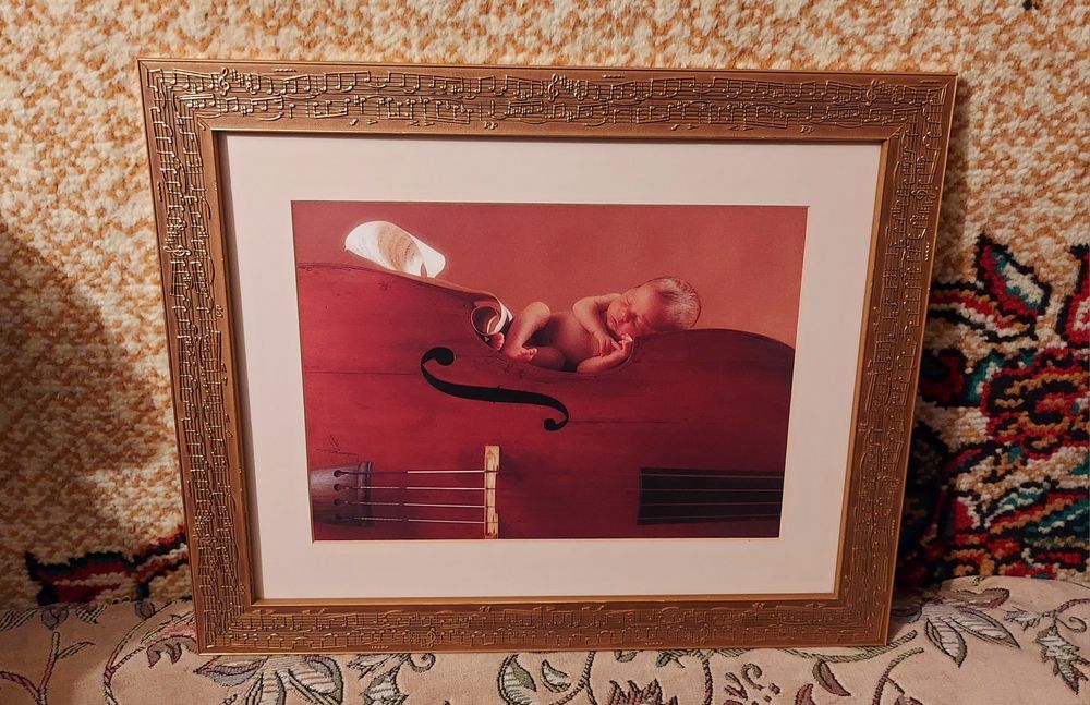 Картина фотографическая