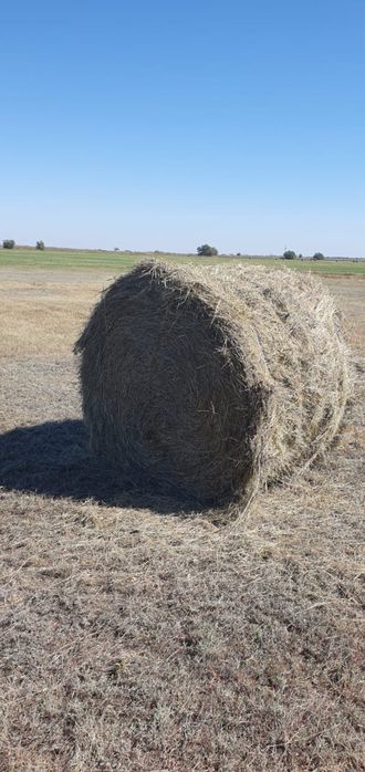 Сено отличного качества