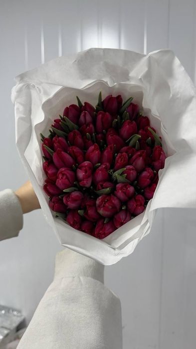 Тюльпаны из Голландии к 14 февраля — доставка по Ташкенту