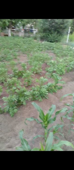 Продам Дачу в с/к Васюки