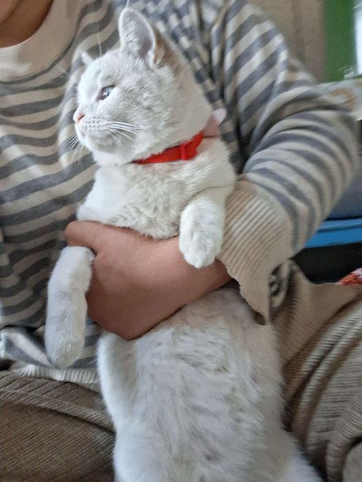 Lateks kiygan qizlar jinsiy aloqada bolishadi