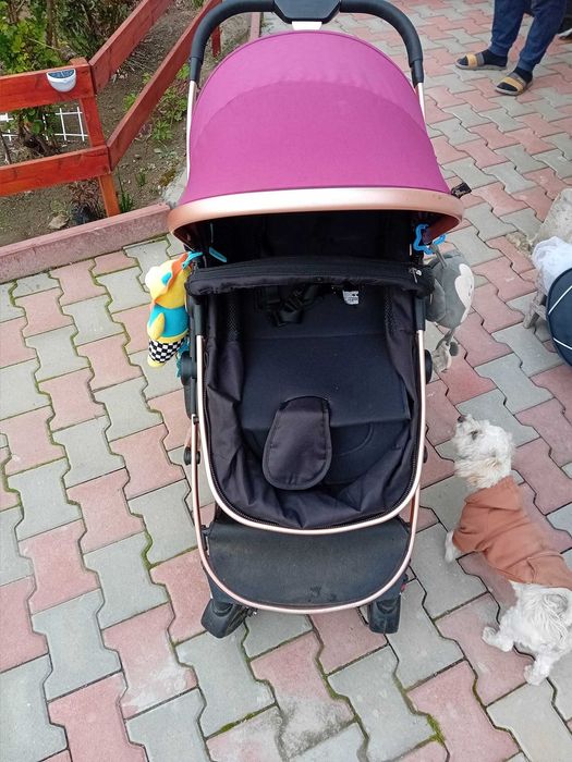 Carut  2in1  0-36 luni