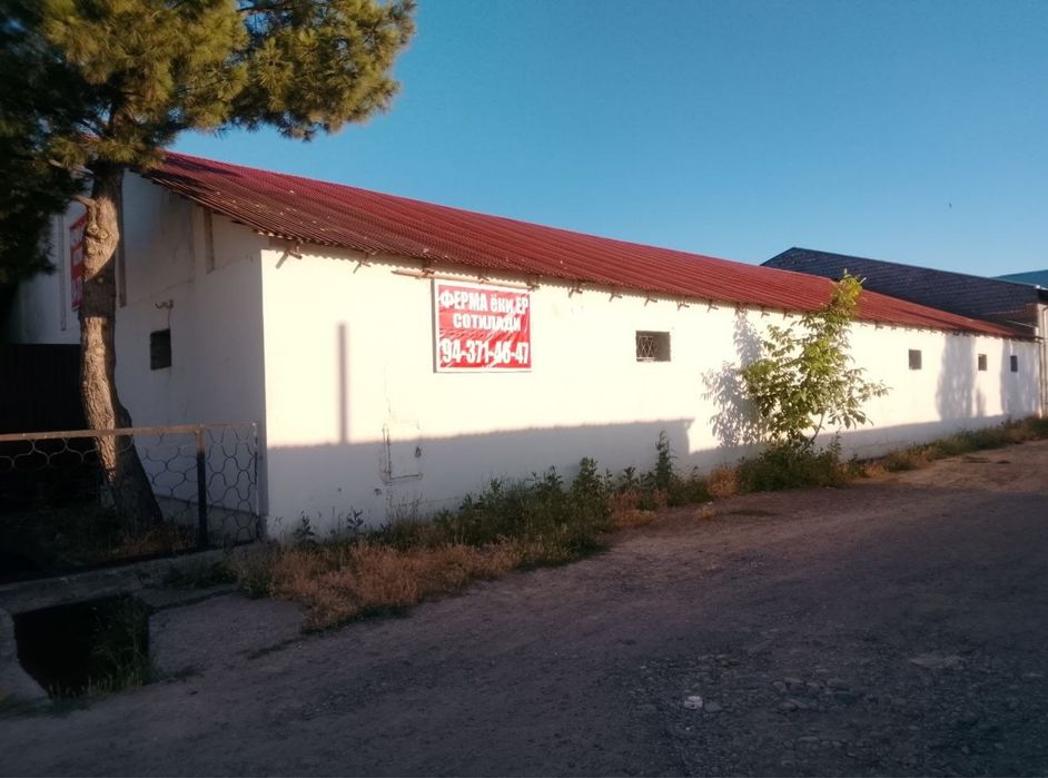 Ferma xolovchilar uchun yer koriniwida ham sotiladi