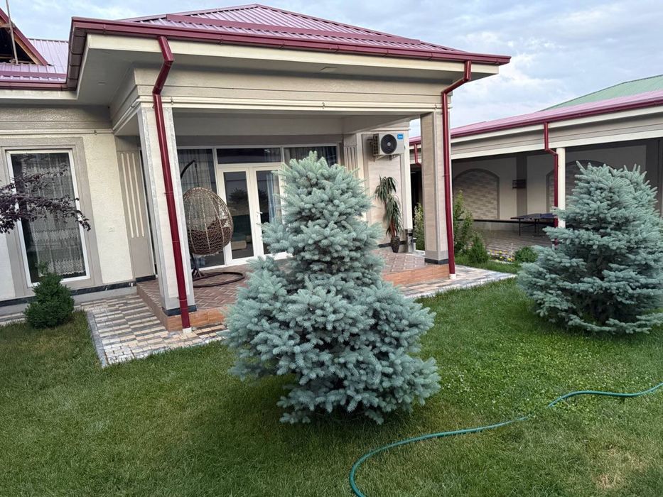 Dacha oqtosh oqtosh dacha quyoshka yaqin 702