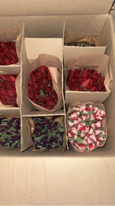 Тюльпаны на 8 марта