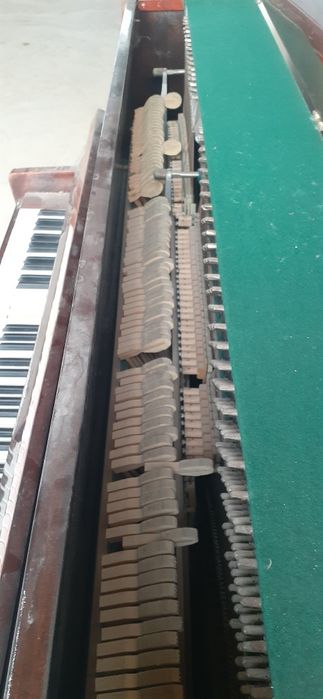 piyanina belaruz cccp