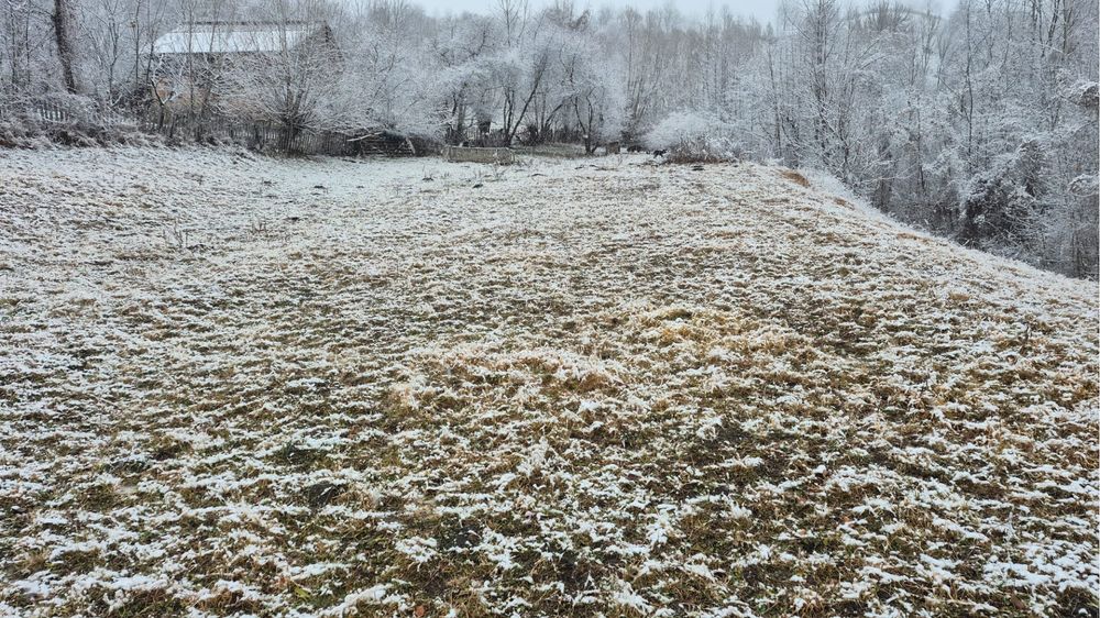 Proprietar, vand teren Secaria, PH, 9380m2