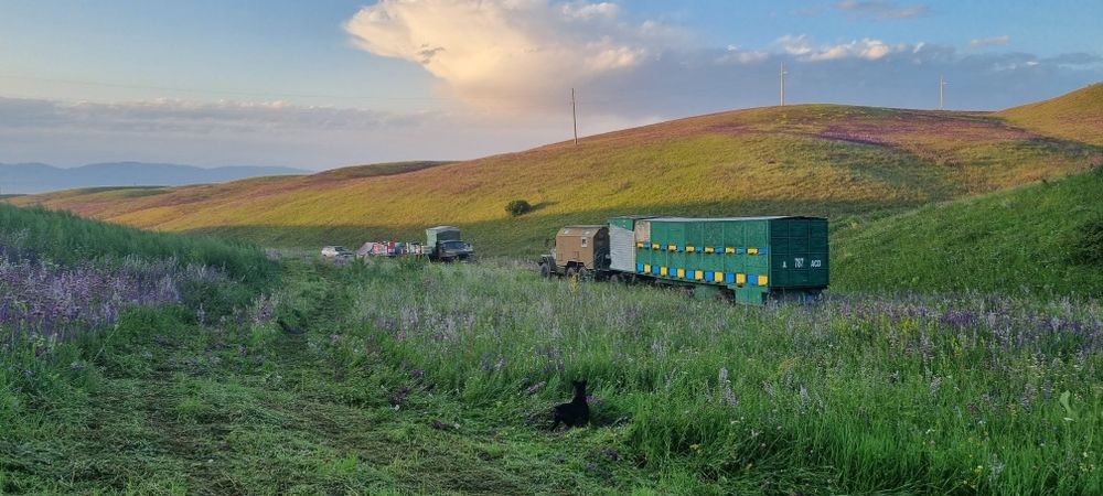 100% Натуральный Мёд