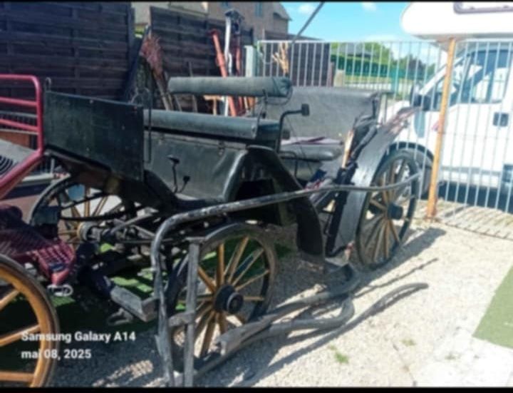 Caleașcă ceremonii,ornament,diverse