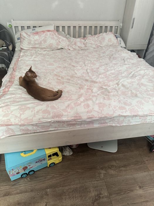 Продам кровать срочно