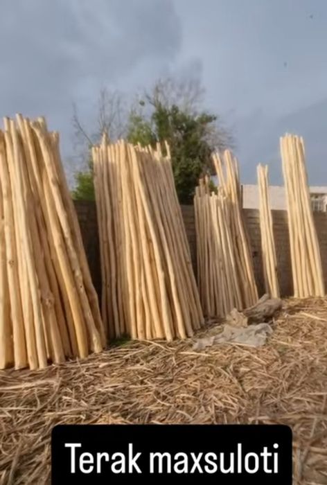 Tosin tusin terak тосин maxsuloti 1 chi qo'l