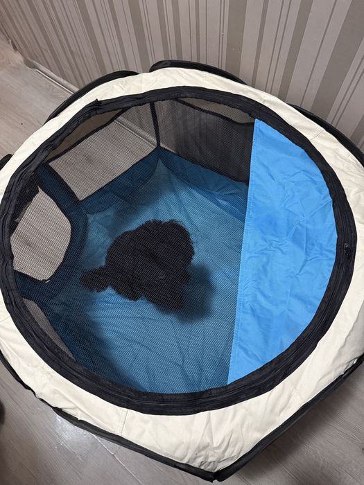 Преносима сгъваема кошара за домашни любимци (куче/котка)