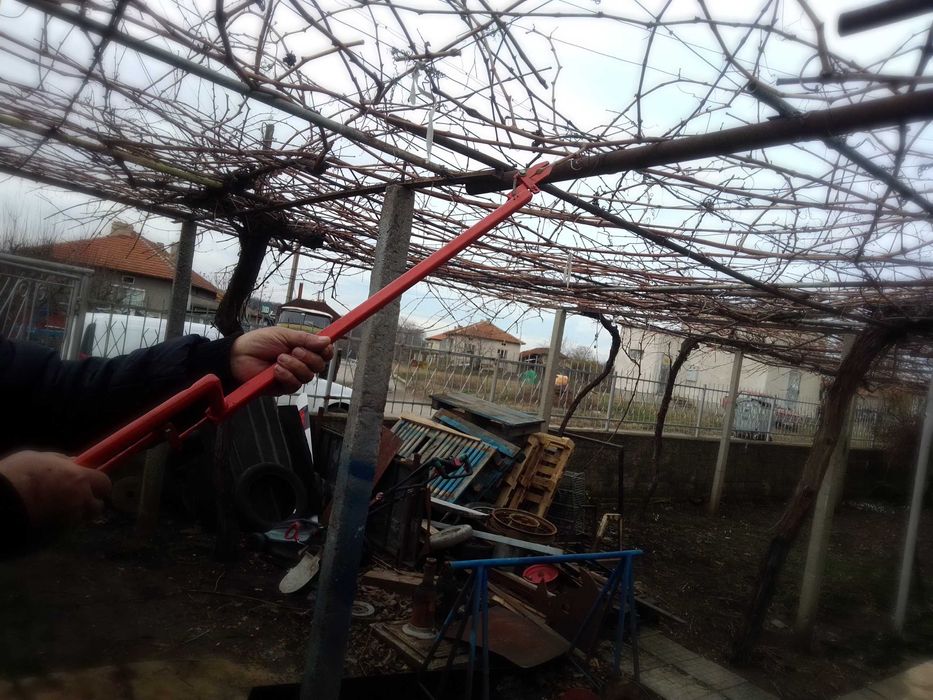 Удължена лозарска ножица и щипка