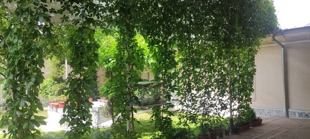 Истирохат шоир куча участок, Istiroxat shoir ko'cha uchastka hovli