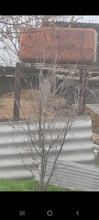 Земельный участок  Янги хаёт  Жалоир 14 соток