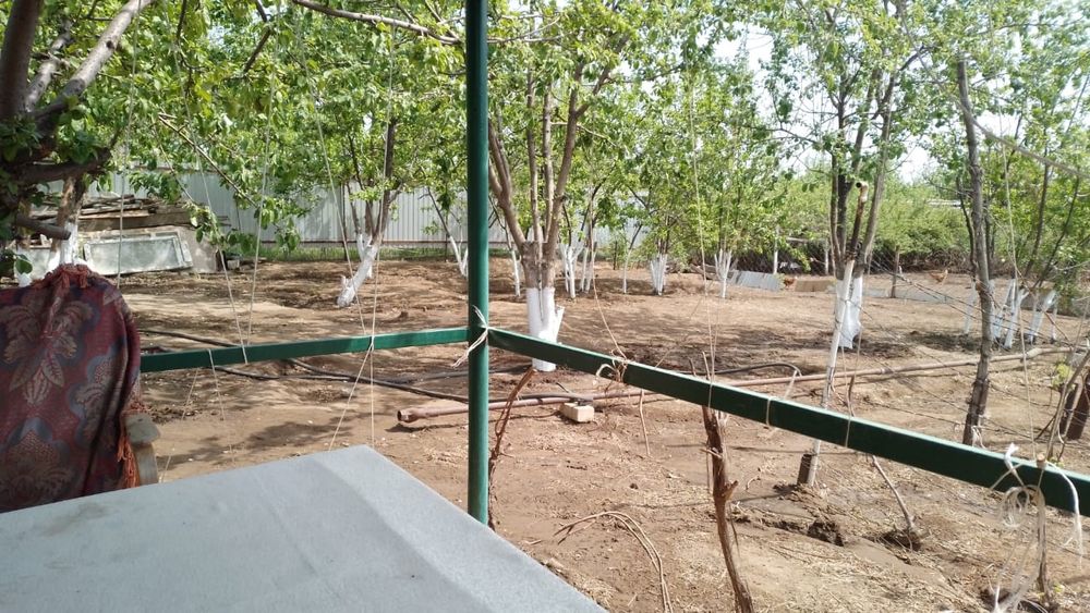 Дача + подсобное хозяйство