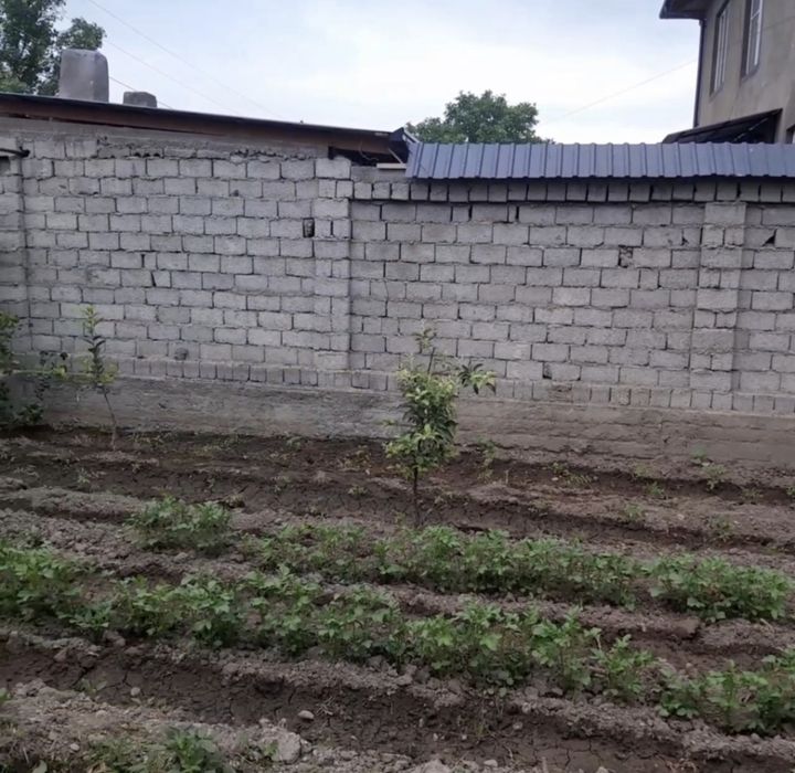 Недвижимость участка Карл маркас саксон  ота омонлик кучаси 23 хонадон