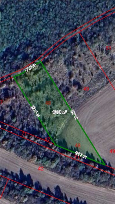 Ниви село Николаево, община Плевен