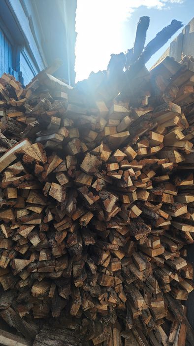 Продам дрова ветла
