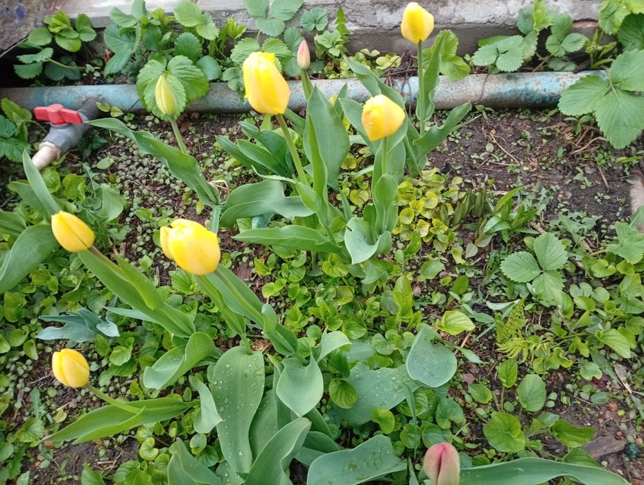 Продам излишки. Недорого