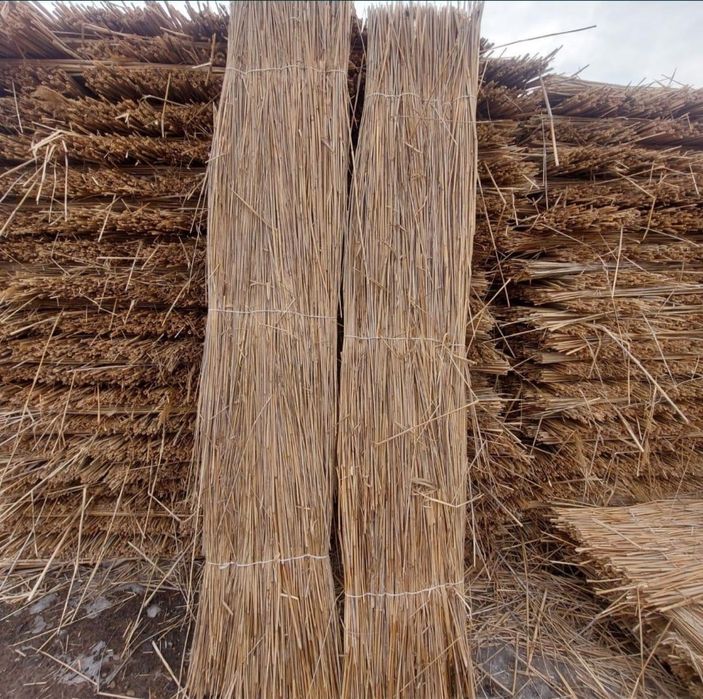 Қамыс мата камыщ