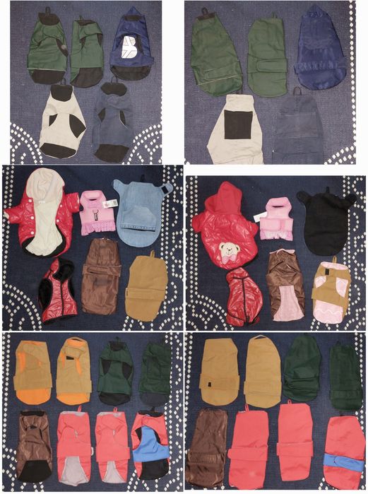 Haine caini talie mica