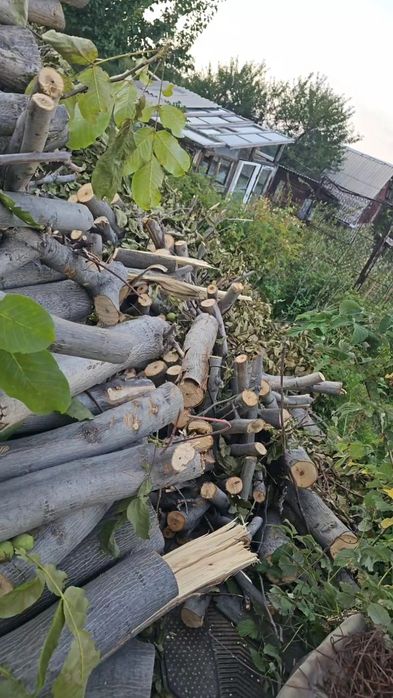Дрова бесплатно орех отдам