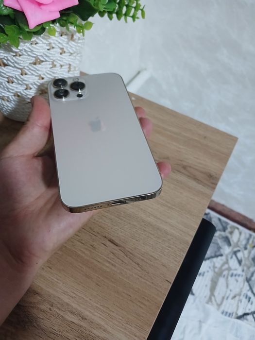 Ayfon 13 pro max