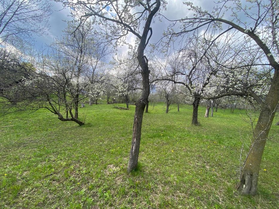 Teren Sat Pietriceaua Comuna Brebu