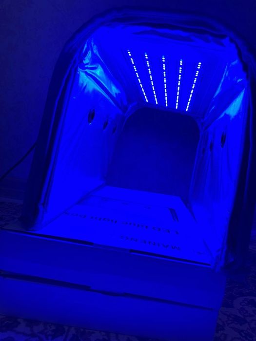 Напрокат фотолампу