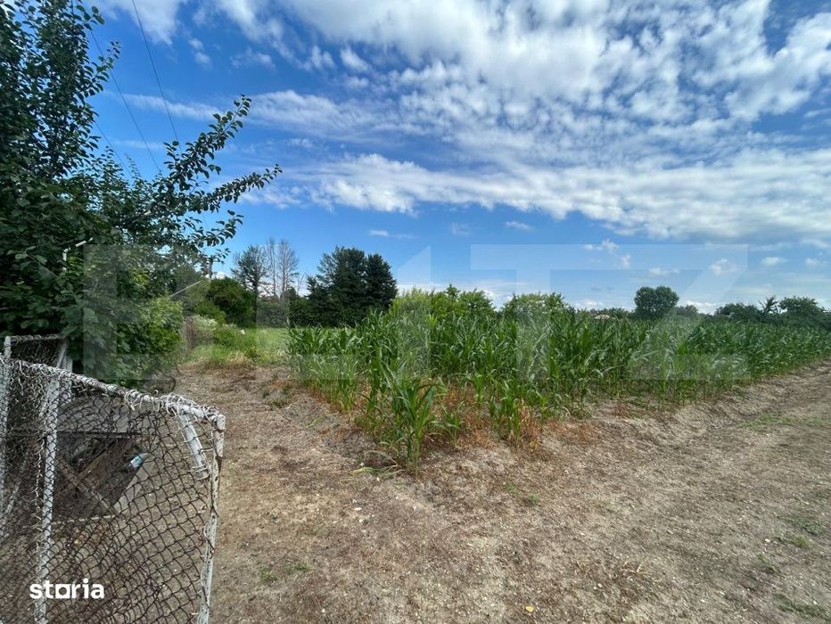 Teren | Crangurile De Jos | 6796 Mp | Intravilan |