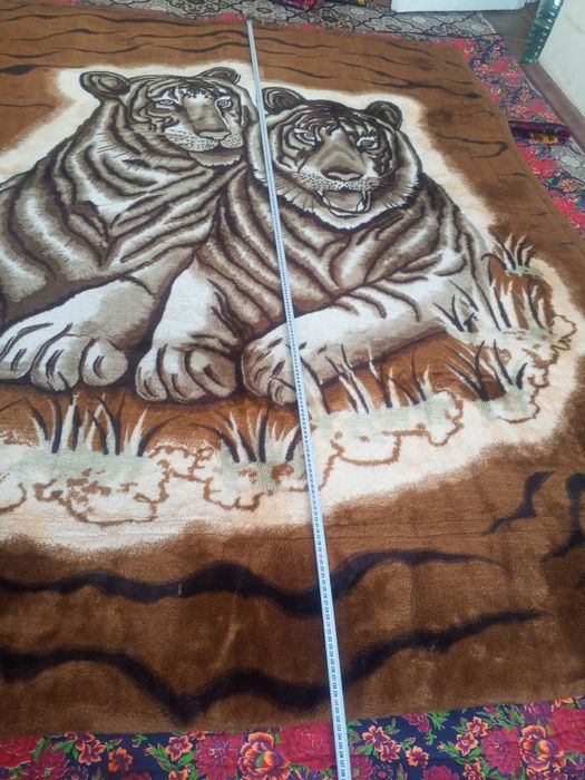 Адёл Сотилади калин