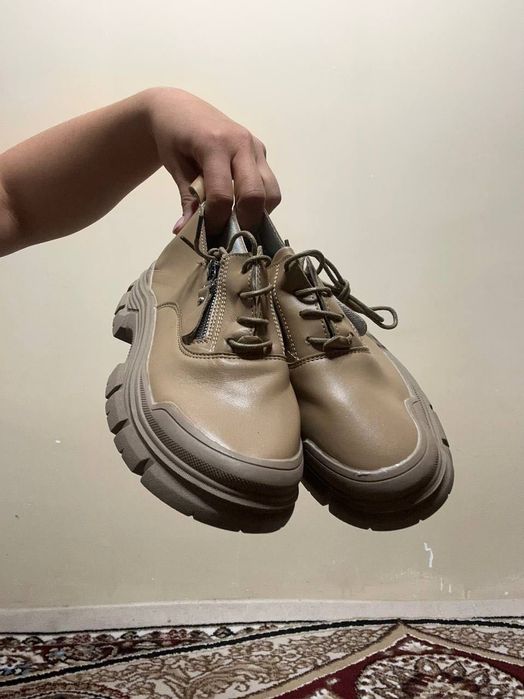 Krasovkalar kedi krasovka