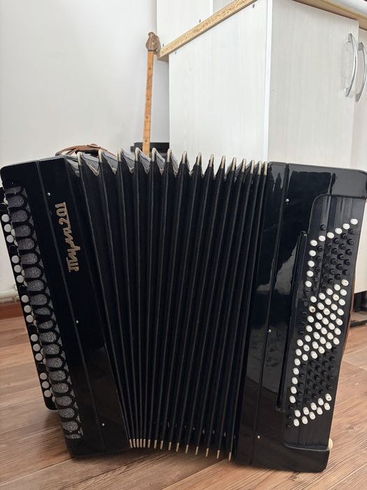 Баян /Горошка/Готововыборный