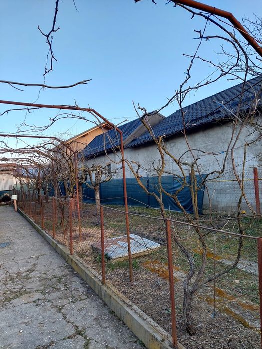 Vând casă și grădina