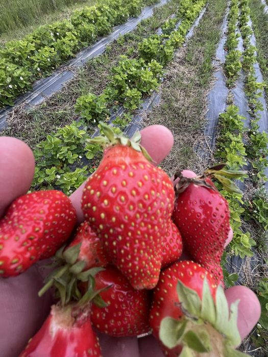 Продава се Земеделски имот в Крън -  кв.м за 6120 €/дка - Снимка #1