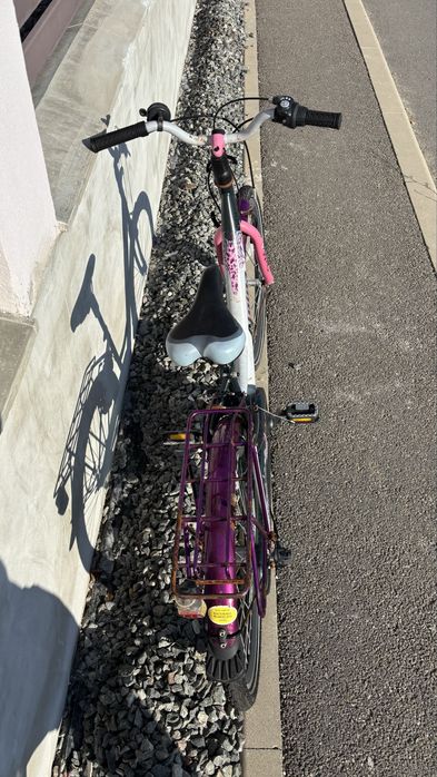 Bicicleta alpina