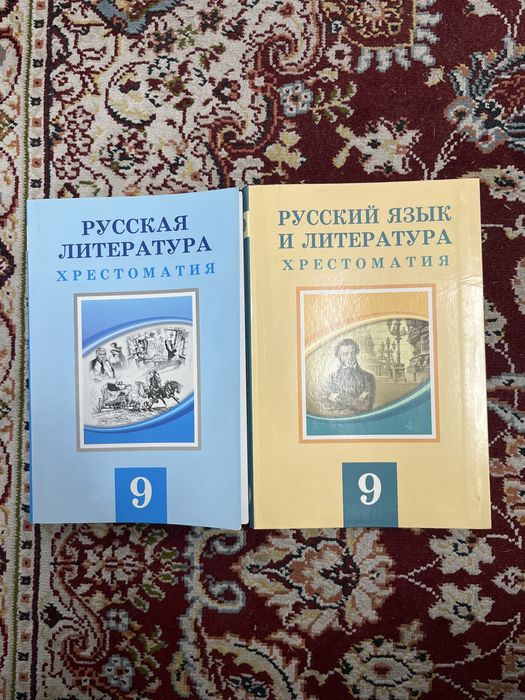 Книги 9 класс на русском языке