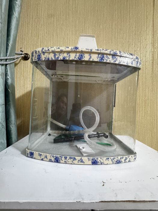 Аквариум сатылады 15000 ватсап жазып сурауга болады