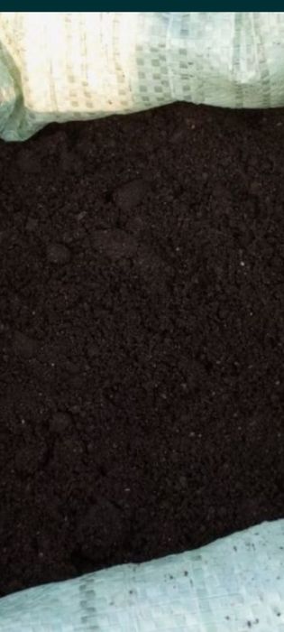 Gazon ekish va lanshaf