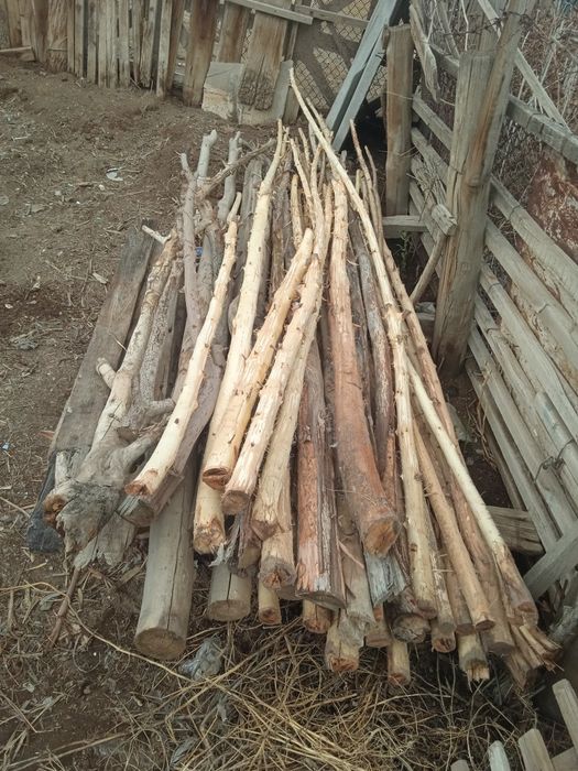 Агаш хадалар сотилади