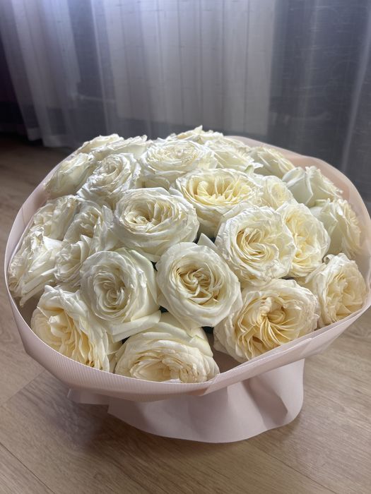 Срочно продаю цветы 25 шт