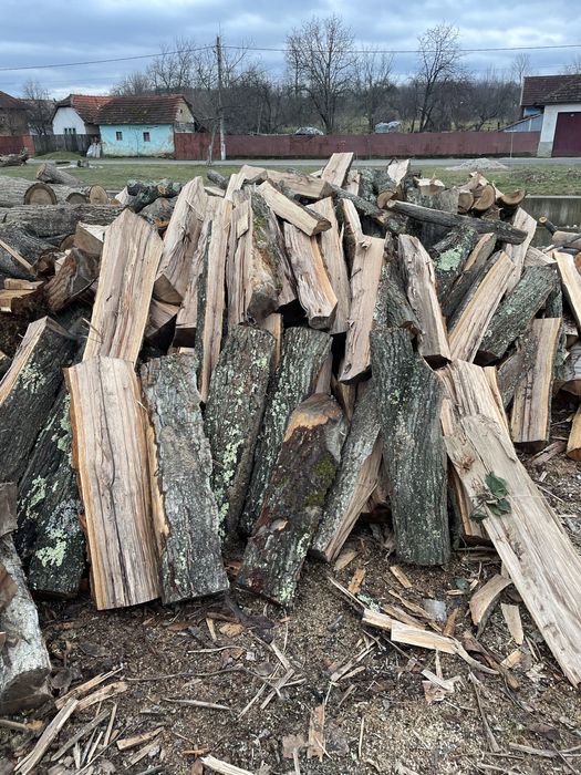 ‼️Lemne de foc de calitate superioară [Fag,Gorun,Carpen,Cer]