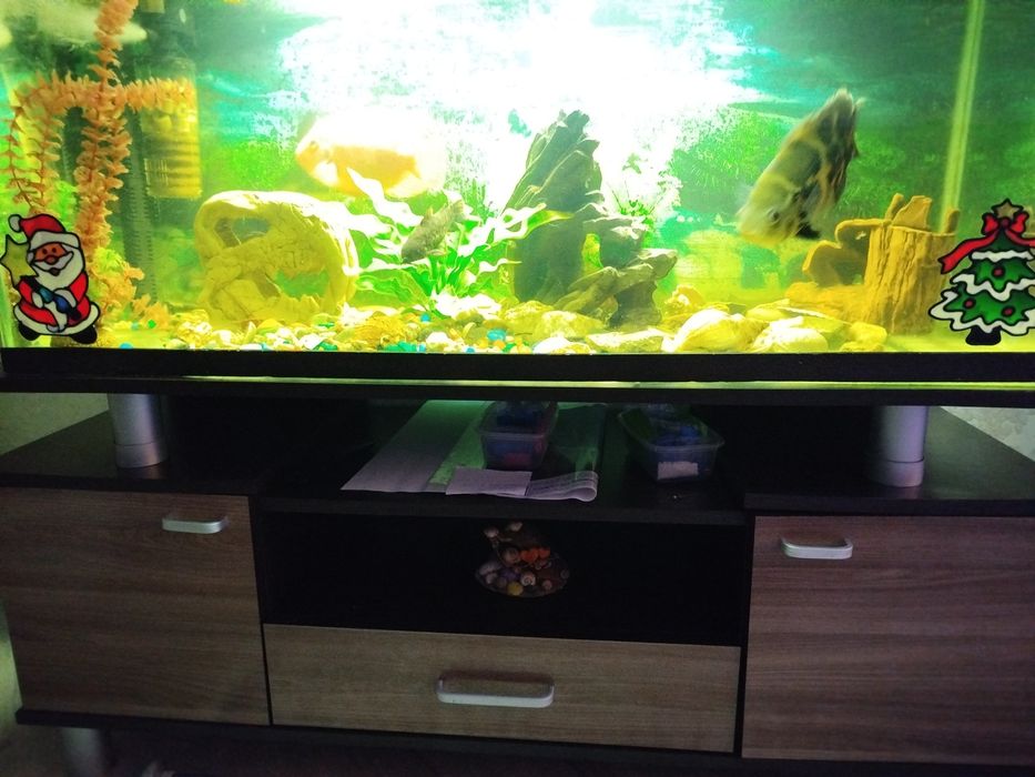 Аквариум 250 литров